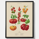 Kökstavla med Tomater poster – Canvastavla med grönsaker, tomatposter av Ernst Benary, tomattavla, tavla med tomater, skolposter, köksposter, poster till kök