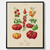 Kökstavla med Tomater poster – Canvastavla med grönsaker, tomatposter av Ernst Benary, tomattavla, tavla med tomater, skolposter, köksposter, poster till kök