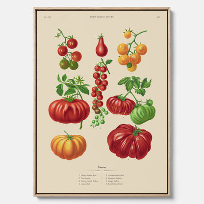 Kökstavla med Tomater poster – Canvastavla med grönsaker, tomatposter av Ernst Benary, tomattavla, tavla med tomater, skolposter, köksposter, poster till kök