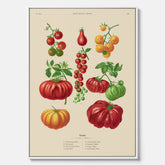 Kökstavla med Tomater poster – Canvastavla med grönsaker, tomatposter av Ernst Benary, tomattavla, tavla med tomater, skolposter, köksposter, poster till kök