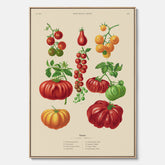 Kökstavla med Tomater poster – Canvastavla med grönsaker, tomatposter av Ernst Benary, tomattavla, tavla med tomater, skolposter, köksposter, poster till kök
