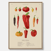 Kökstavla med Chilifrukter poster – Canvas med grönsaker, chiliposter av Ernst Benary, chilitavla, tavla med chilifrukter, skolposter, köksposter, poster till kök