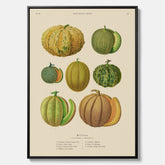 Kökstavla med Meloner poster – Canvastavla med frukter, melonposter av Ernst Benary, melontavla, tavla med meloner, skolposter, köksposter, poster till kök