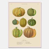 Kökstavla med Meloner poster – Plansch med frukter, melonposter av Ernst Benary, melontavla, tavla med meloner, skolposter, köksposter, poster till kök