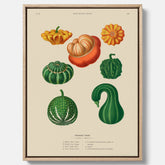 Kökstavla med pumpor poster – Canvastavla med prydnadspumpor, pumpaposter av Ernst Benary, pumpor-tavla, tavla med pumpor, skolposter, köksposter, poster till kök