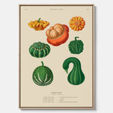 Kökstavla med pumpor poster – Canvastavla med prydnadspumpor, pumpaposter av Ernst Benary, pumpor-tavla, tavla med pumpor, skolposter, köksposter, poster till kök