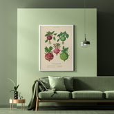 Kökstavla med Kålrabbi & Kålrot poster – Plansch med kålrabbi, kålrotposter av Ernst Benary, tavla med kålrabbi och kålrot, skolposter, köksposter, poster till kök