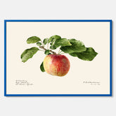 Kökstavla med Äpple poster – Plansch med frukt, fruktposter, äppeltavla, poster äpplen, köksposter, tavla till kök, poster till kök