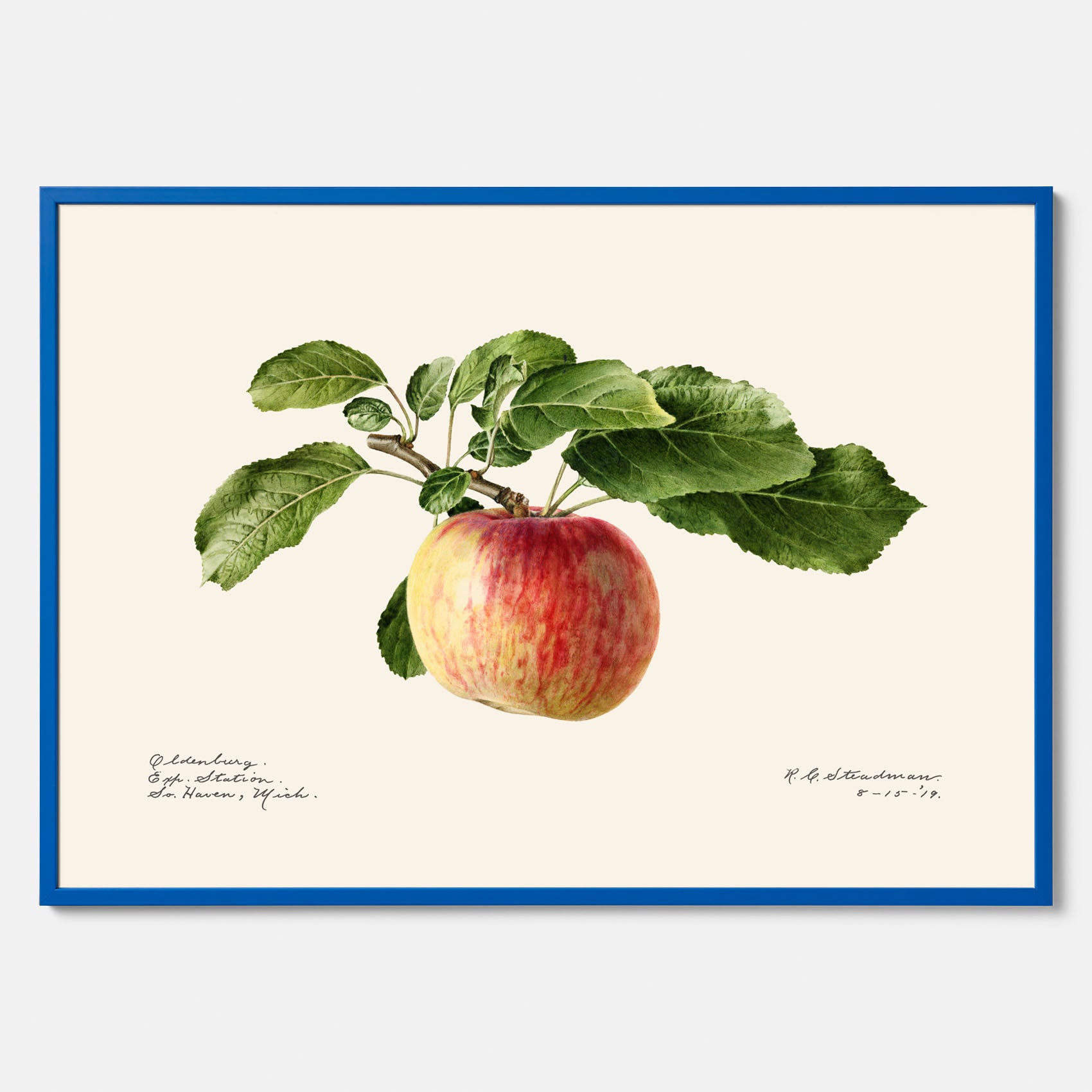 Kökstavla med Äpple poster – Plansch med frukt, fruktposter, äppeltavla, poster äpplen, köksposter, tavla till kök, poster till kök
