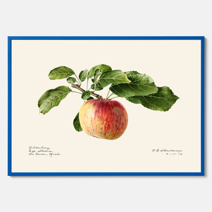 Kökstavla med Äpple poster – Plansch med frukt, fruktposter, äppeltavla, poster äpplen, köksposter, tavla till kök, poster till kök