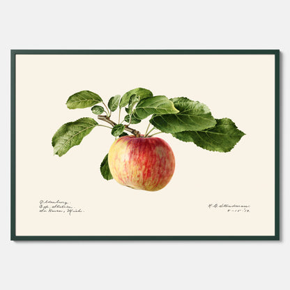 Kökstavla med Äpple poster – Plansch med frukt, fruktposter, äppeltavla, poster äpplen, köksposter, tavla till kök, poster till kök