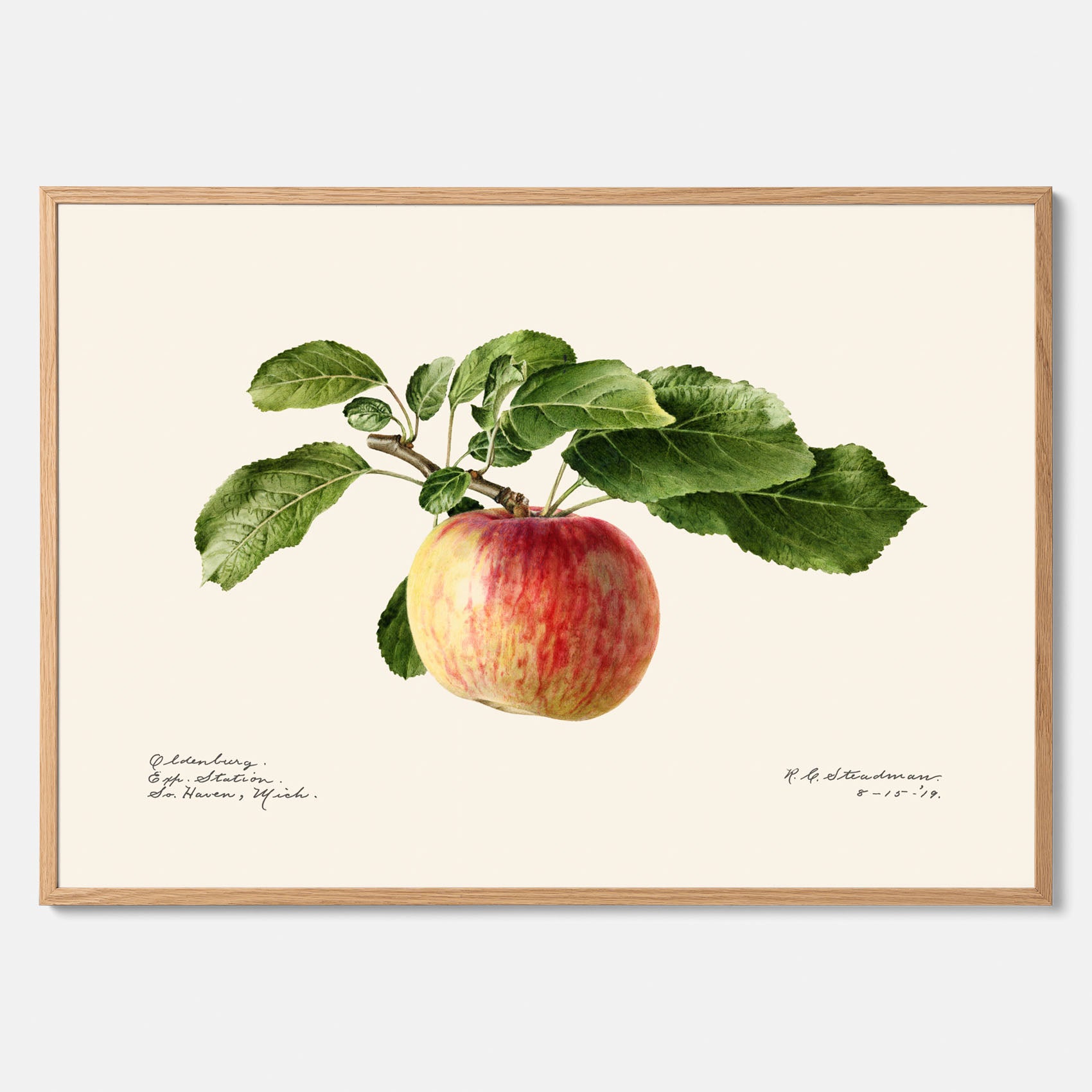 Kökstavla med Äpple poster – Plansch med frukt, fruktposter, äppeltavla, poster äpplen, köksposter, tavla till kök, poster till kök