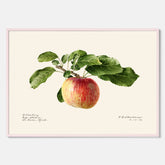 Kökstavla med Äpple poster – Plansch med frukt, fruktposter, äppeltavla, poster äpplen, köksposter, tavla till kök, poster till kök