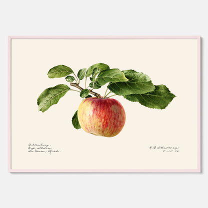 Kökstavla med Äpple poster – Plansch med frukt, fruktposter, äppeltavla, poster äpplen, köksposter, tavla till kök, poster till kök