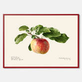 Kökstavla med Äpple poster – Plansch med frukt, fruktposter, äppeltavla, poster äpplen, köksposter, tavla till kök, poster till kök