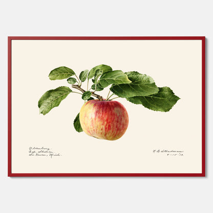 Kökstavla med Äpple poster – Plansch med frukt, fruktposter, äppeltavla, poster äpplen, köksposter, tavla till kök, poster till kök