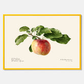 Kökstavla med Äpple poster – Plansch med frukt, fruktposter, äppeltavla, poster äpplen, köksposter, tavla till kök, poster till kök