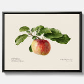 Canvastavla till kök med Äpple – Plansch med frukt, fruktposter, äppeltavla, poster äpplen, köksposter, tavla till kök, poster till kök