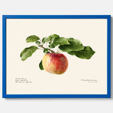 Kökstavla med Äpple poster – Plansch med frukt, fruktposter, äppeltavla, poster äpplen, köksposter, tavla till kök, poster till kök