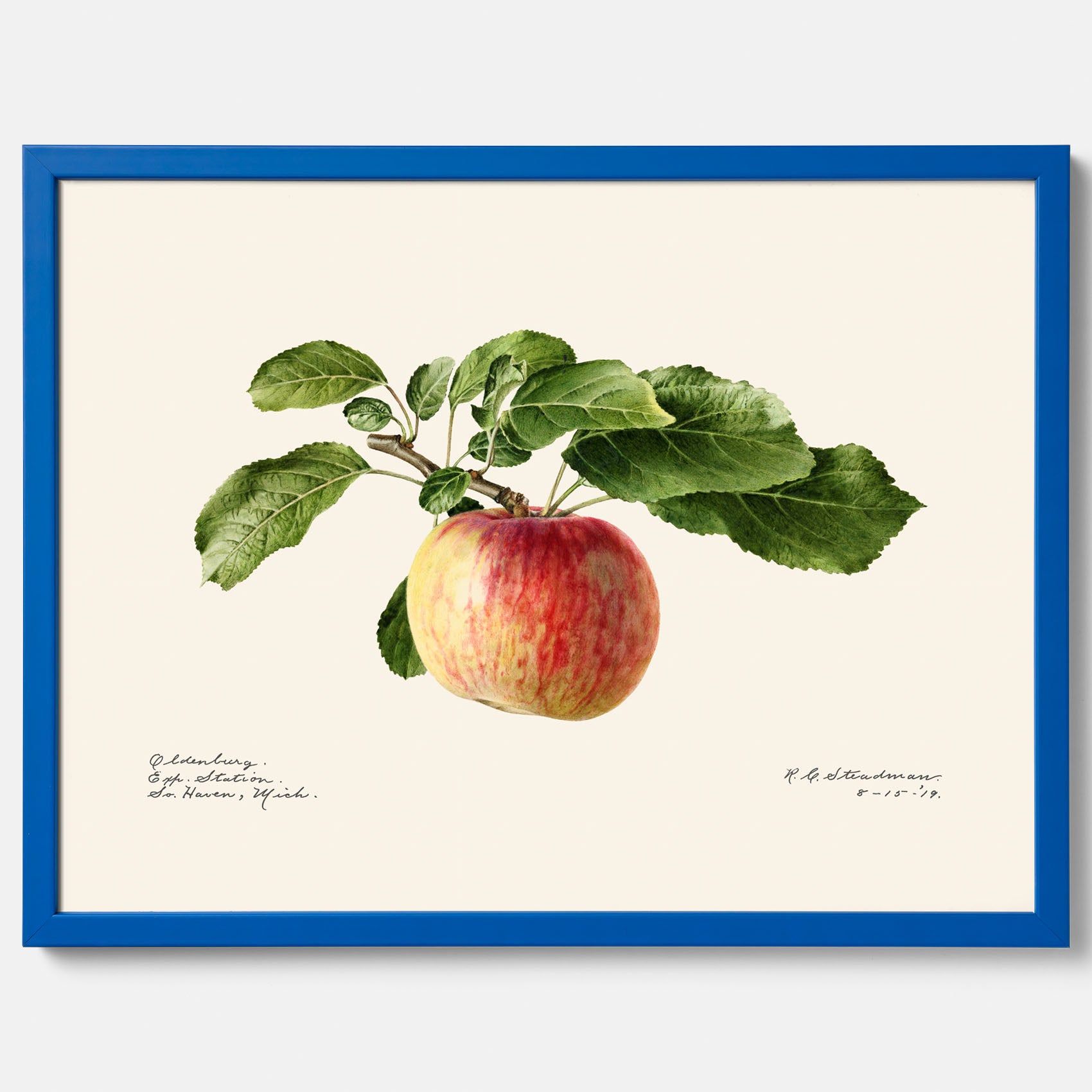 Kökstavla med Äpple poster – Plansch med frukt, fruktposter, äppeltavla, poster äpplen, köksposter, tavla till kök, poster till kök