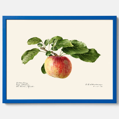 Kökstavla med Äpple poster – Plansch med frukt, fruktposter, äppeltavla, poster äpplen, köksposter, tavla till kök, poster till kök
