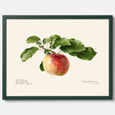 Kökstavla med Äpple poster – Plansch med frukt, fruktposter, äppeltavla, poster äpplen, köksposter, tavla till kök, poster till kök