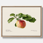 Canvastavla till kök med Äpple – Plansch med frukt, fruktposter, äppeltavla, poster äpplen, köksposter, tavla till kök, poster till kök