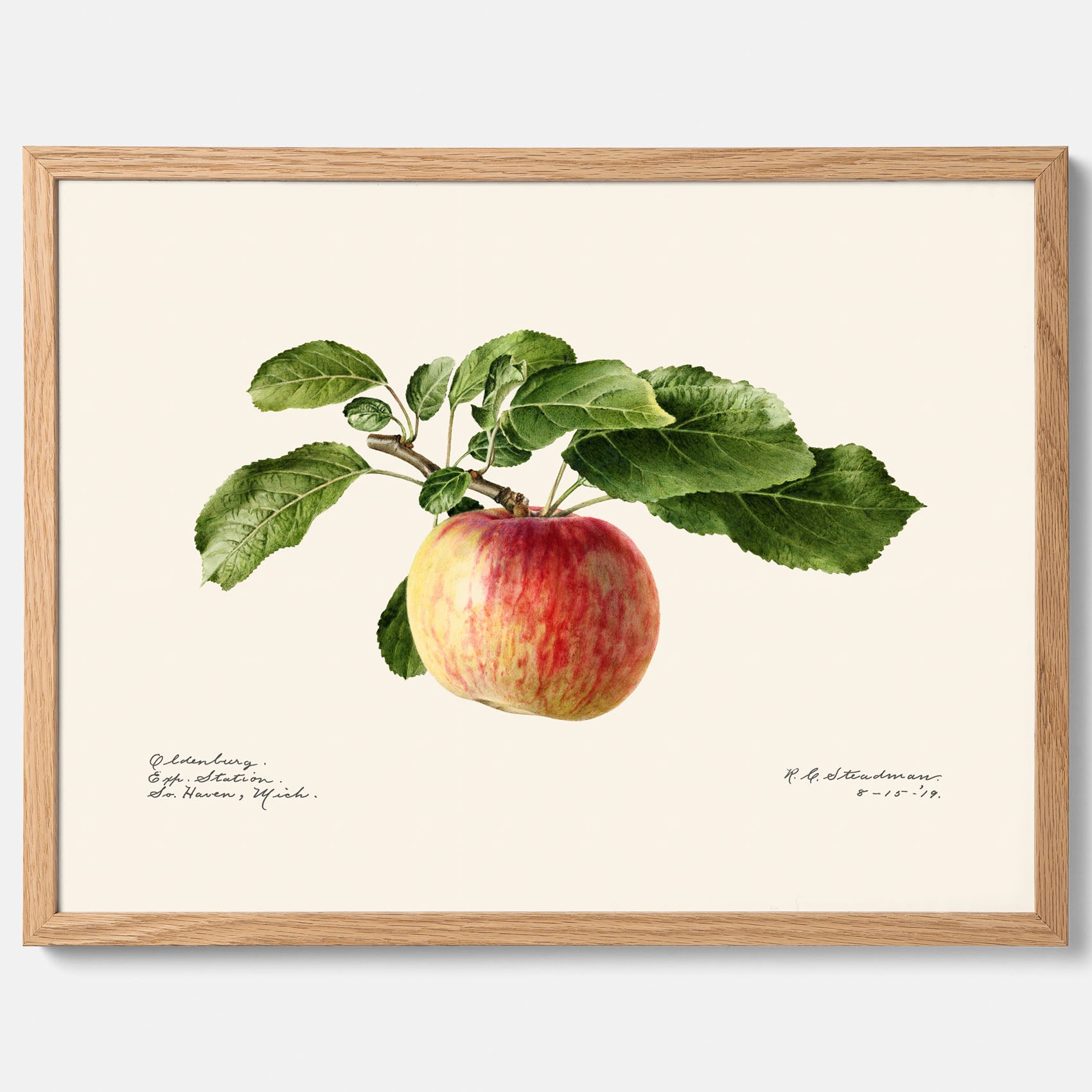 Kökstavla med Äpple poster – Plansch med frukt, fruktposter, äppeltavla, poster äpplen, köksposter, tavla till kök, poster till kök