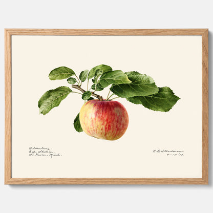 Kökstavla med Äpple poster – Plansch med frukt, fruktposter, äppeltavla, poster äpplen, köksposter, tavla till kök, poster till kök