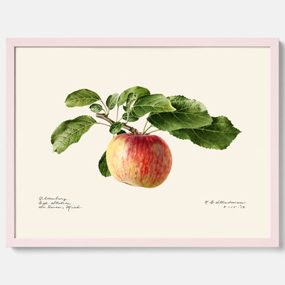 Kökstavla med Äpple poster – Plansch med frukt, fruktposter, äppeltavla, poster äpplen, köksposter, tavla till kök, poster till kök