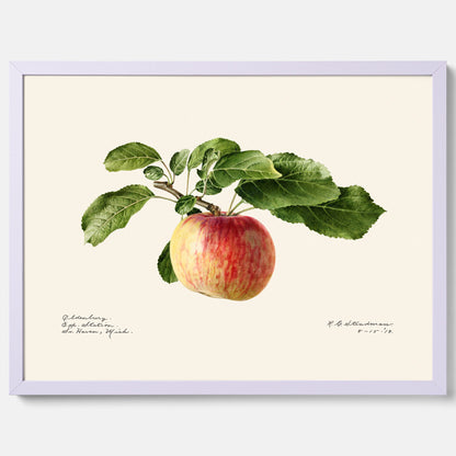 Kökstavla med Äpple poster – Plansch med frukt, fruktposter, äppeltavla, poster äpplen, köksposter, tavla till kök, poster till kök