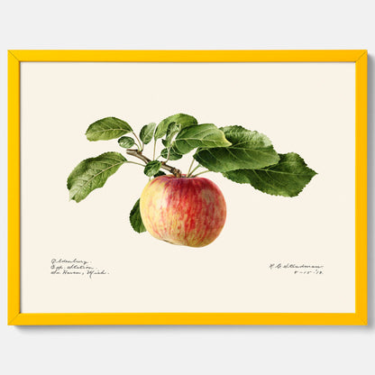 Kökstavla med Äpple poster – Plansch med frukt, fruktposter, äppeltavla, poster äpplen, köksposter, tavla till kök, poster till kök