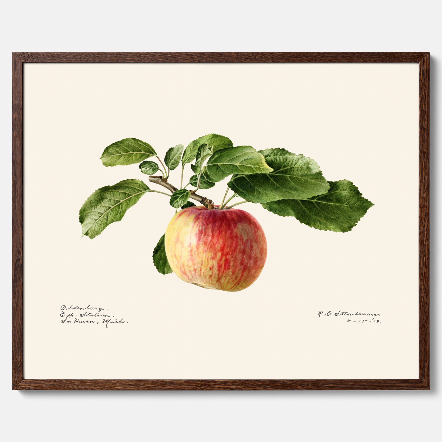Kökstavla med Äpple poster – Plansch med frukt, fruktposter, äppeltavla, poster äpplen, köksposter, tavla till kök, poster till kök