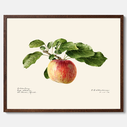 Kökstavla med Äpple poster – Plansch med frukt, fruktposter, äppeltavla, poster äpplen, köksposter, tavla till kök, poster till kök