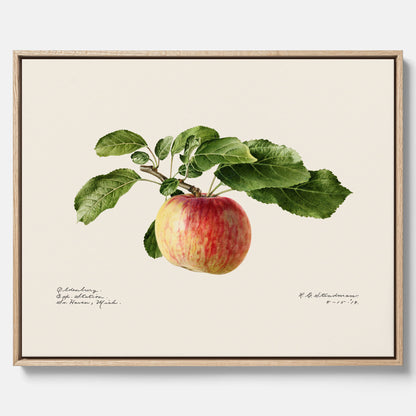 Canvastavla till kök med Äpple – Plansch med frukt, fruktposter, äppeltavla, poster äpplen, köksposter, tavla till kök, poster till kök