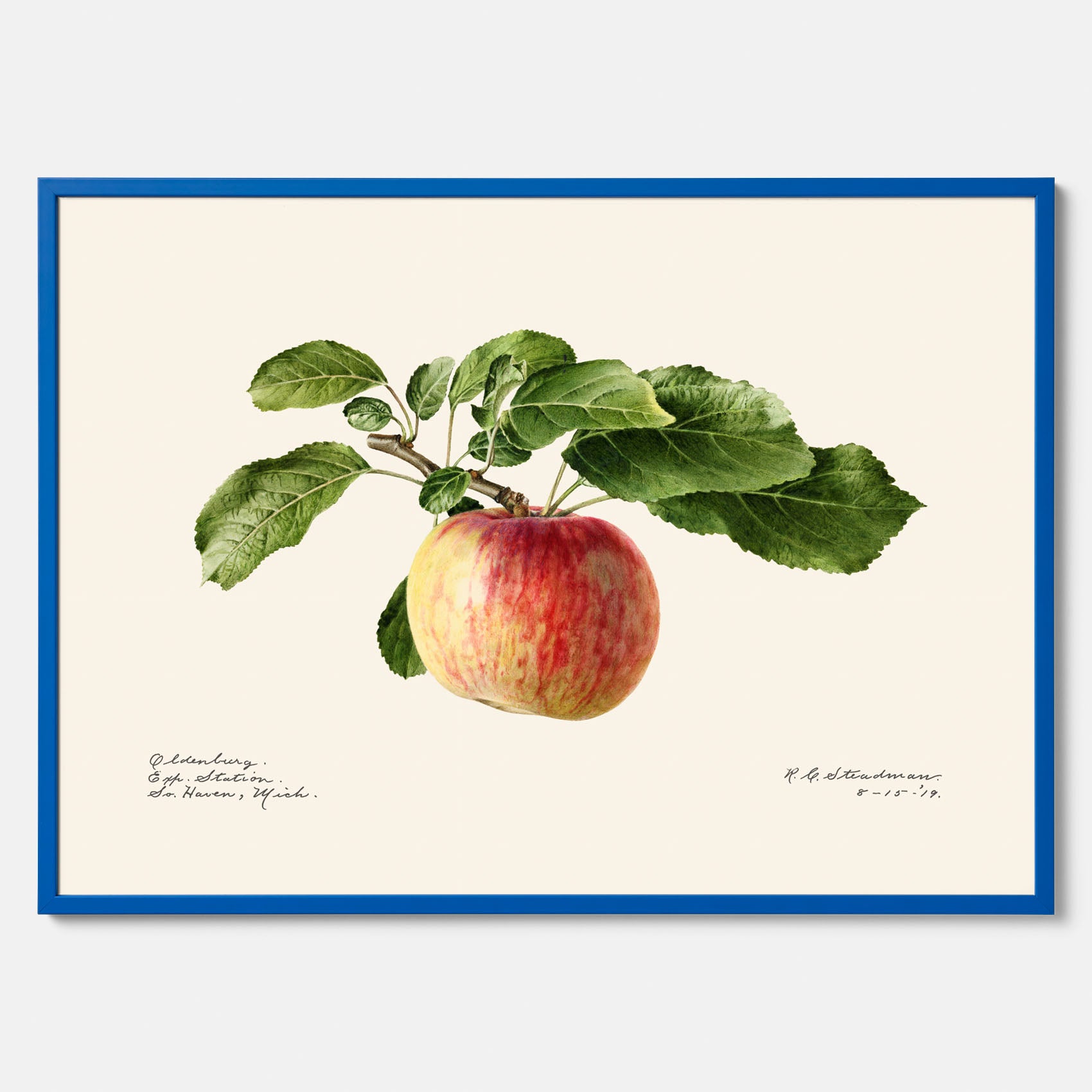 Kökstavla med Äpple poster – Plansch med frukt, fruktposter, äppeltavla, poster äpplen, köksposter, tavla till kök, poster till kök