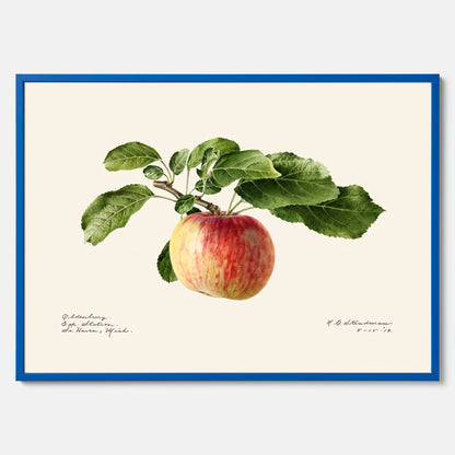 Kökstavla med Äpple poster – Plansch med frukt, fruktposter, äppeltavla, poster äpplen, köksposter, tavla till kök, poster till kök