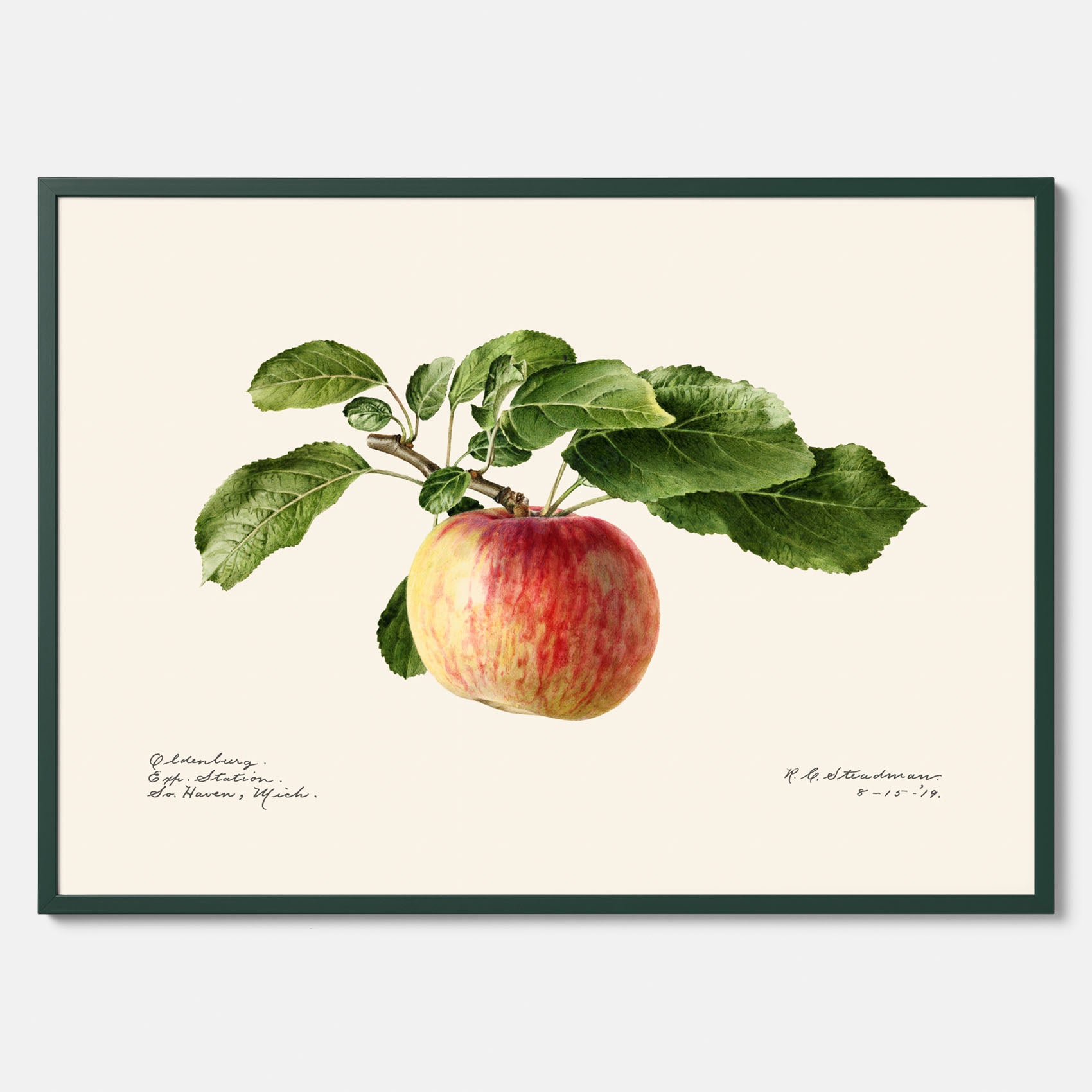 Kökstavla med Äpple poster – Plansch med frukt, fruktposter, äppeltavla, poster äpplen, köksposter, tavla till kök, poster till kök
