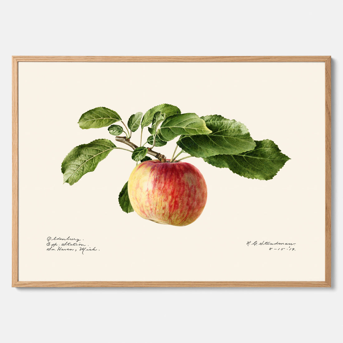 Kökstavla med Äpple poster – Plansch med frukt, fruktposter, äppeltavla, poster äpplen, köksposter, tavla till kök, poster till kök