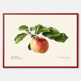 Kökstavla med Äpple poster – Plansch med frukt, fruktposter, äppeltavla, poster äpplen, köksposter, tavla till kök, poster till kök