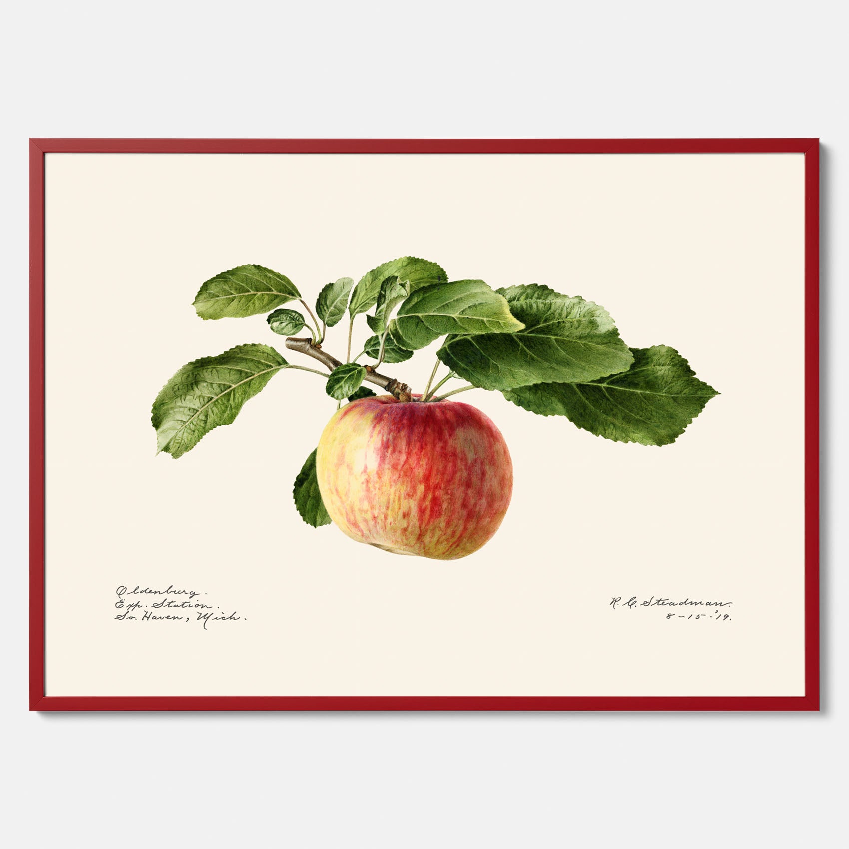 Kökstavla med Äpple poster – Plansch med frukt, fruktposter, äppeltavla, poster äpplen, köksposter, tavla till kök, poster till kök