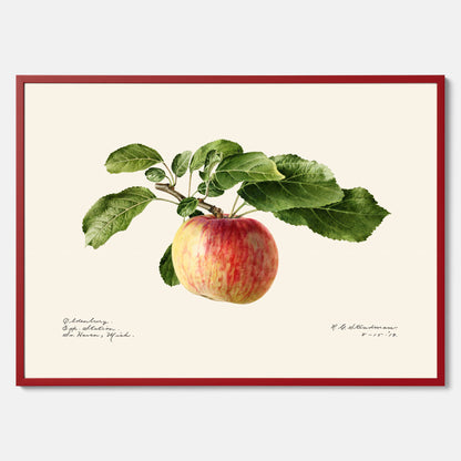 Kökstavla med Äpple poster – Plansch med frukt, fruktposter, äppeltavla, poster äpplen, köksposter, tavla till kök, poster till kök