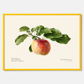 Kökstavla med Äpple poster – Plansch med frukt, fruktposter, äppeltavla, poster äpplen, köksposter, tavla till kök, poster till kök
