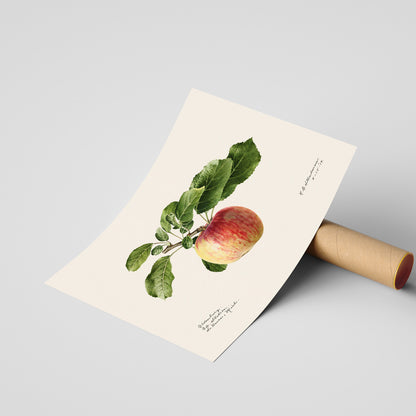 Kökstavla med Äpple poster – Plansch med frukt, fruktposter, äppeltavla, poster äpplen, köksposter, tavla till kök, poster till kök