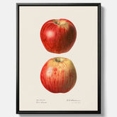 Kökstavla med Äpple poster No.2  – Canvas, tavla till kök med applen, poster till kök