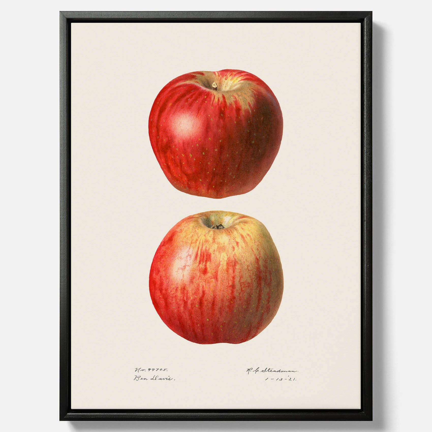 Kökstavla med Äpple poster No.2  – Canvas, tavla till kök med applen, poster till kök