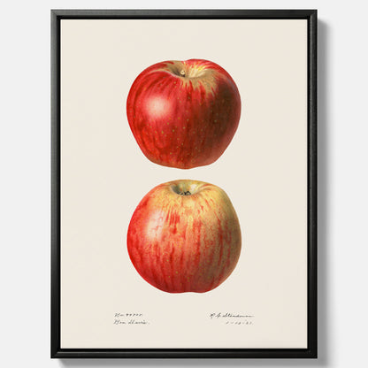 Kökstavla med Äpple poster No.2  – Canvas, tavla till kök med applen, poster till kök