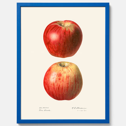 Kökstavla med Äpple poster No.2  – Köksposter, tavla till kök med applen, poster till kök