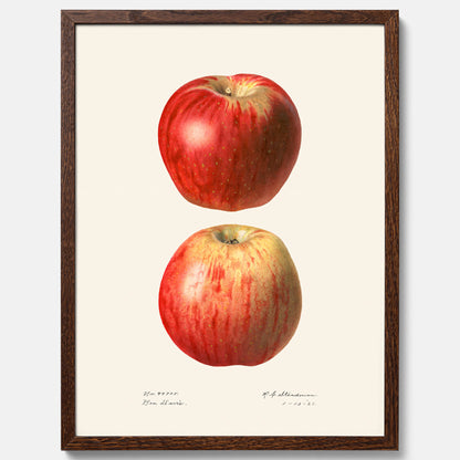 Kökstavla med Äpple poster No.2  – Köksposter, tavla till kök med applen, poster till kök