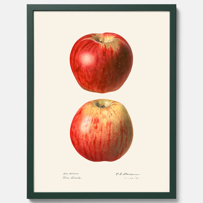 Kökstavla med Äpple poster No.2  – Köksposter, tavla till kök med applen, poster till kök